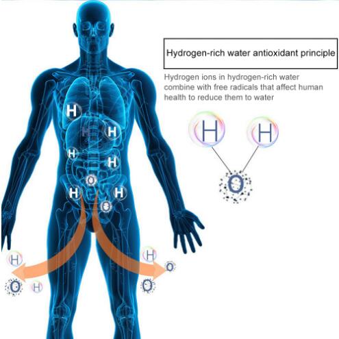 Hydrogen Rich Water Generator Bottle
